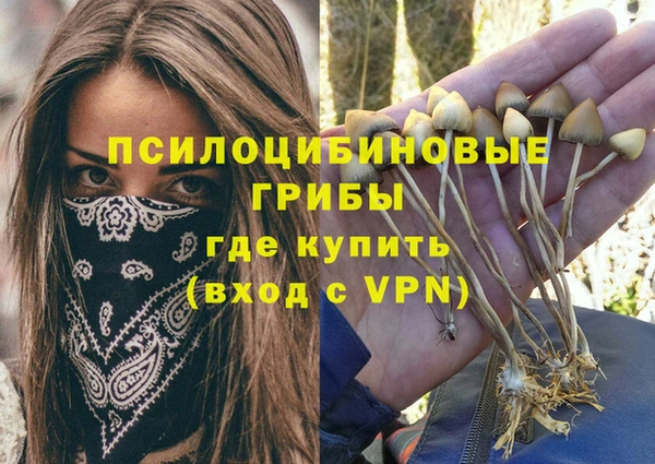 ПСИЛОЦИБИНОВЫЕ ГРИБЫ Алзамай