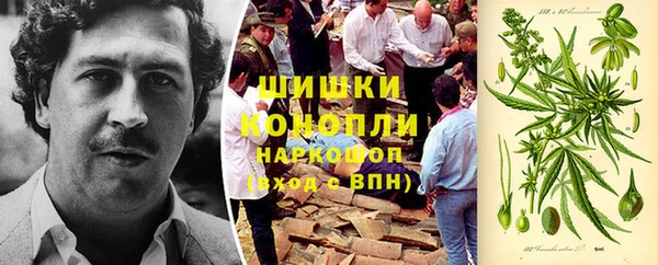 тгк Алексин
