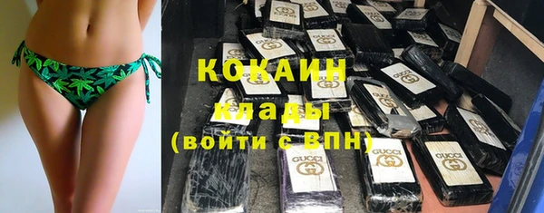 тгк Алексин