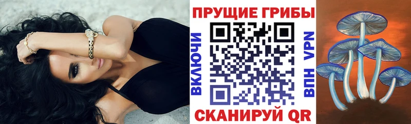 Галлюциногенные грибы Psilocybe мега ONION Нелидово